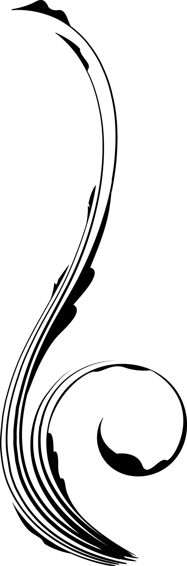 矢量花卉渦流