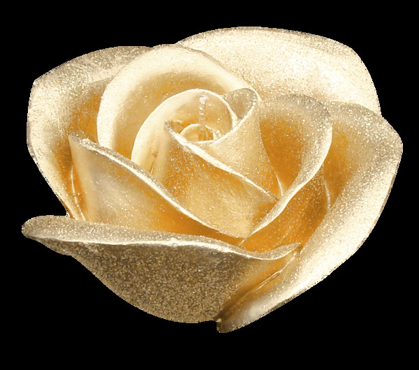 多彩的创意玫瑰花元素素材