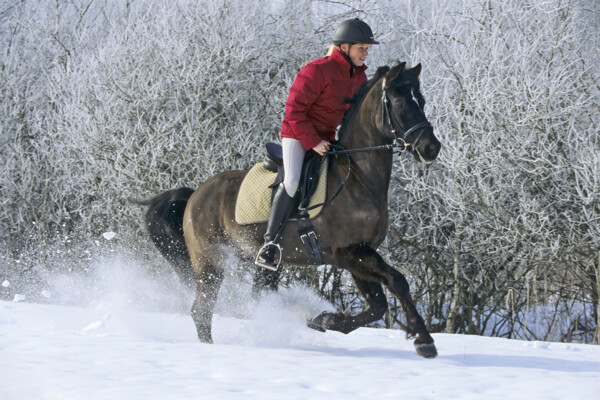 雪地里骑马奔跑的女孩图片