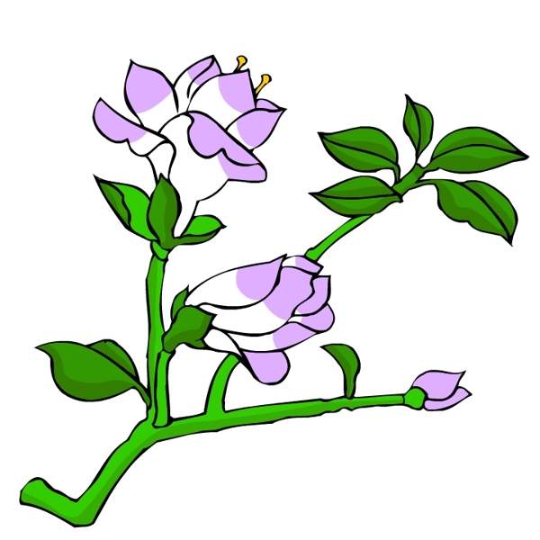 花卉古典插畫