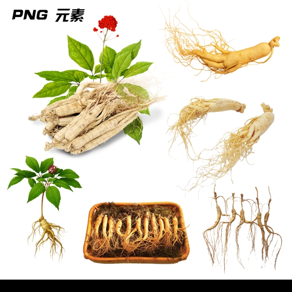 人參免扣元素