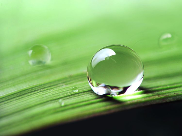 水珠圖片