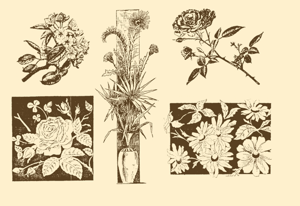 植物装饰画图片