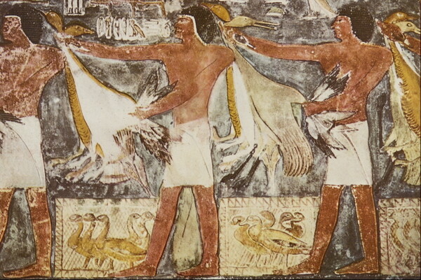 埃及壁画西洋美术0020