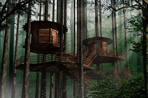 森林树屋图片