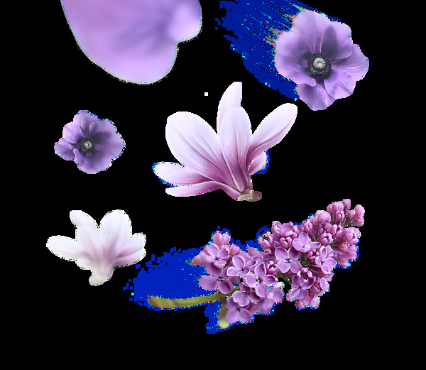 紫色玉兰花插画png元素
