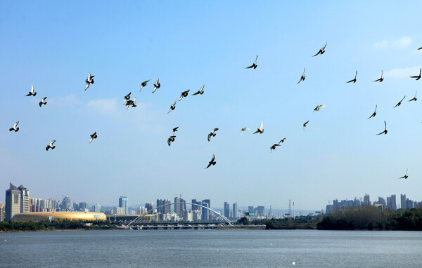 城市风光