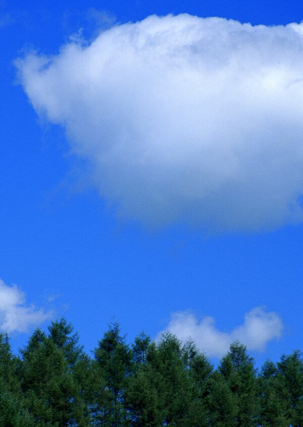 蓝天白云草地天空