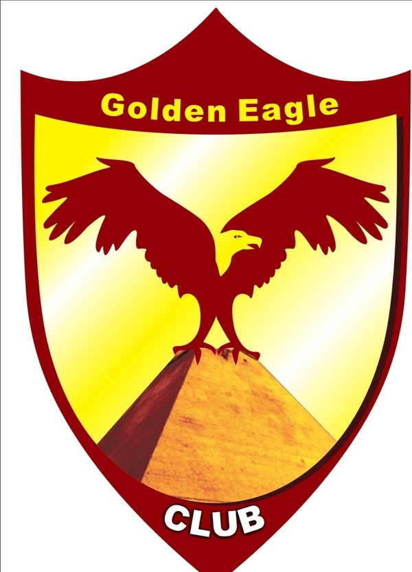 金鹰logo