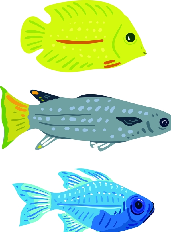 扁平化彩色鱼海洋动物彩