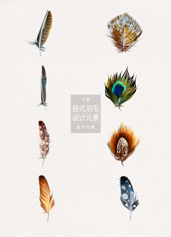 各式鸟羽毛ai设计元素