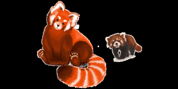 红色毛发小熊猫免抠png透明图层素材
