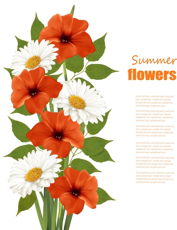 夏天的白色和橙色的花朵背景矢量02
