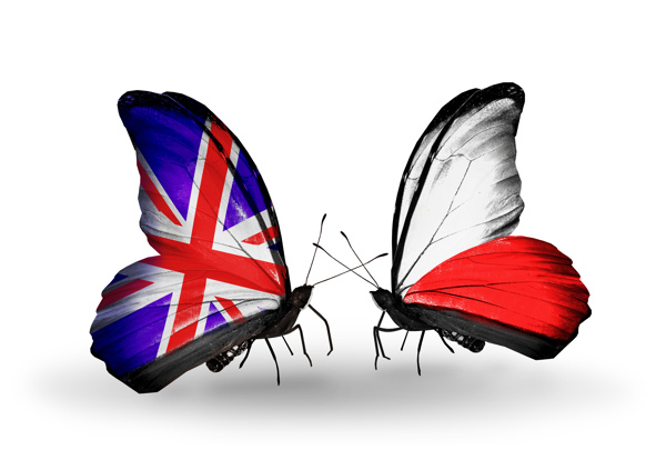 英国国旗与蝴蝶图片