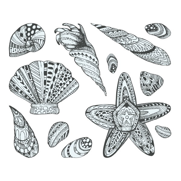 手绘创意图案贝壳设计插画