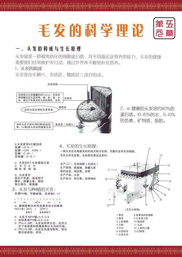 美发图片