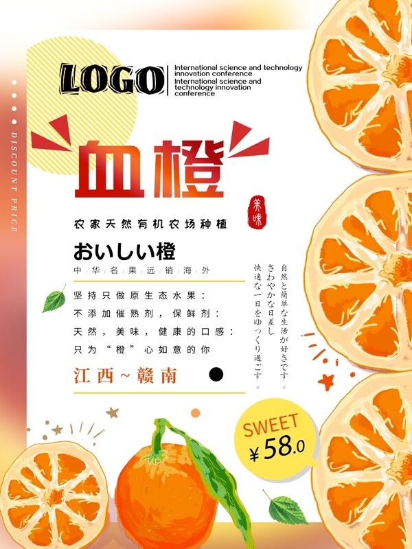 简约创意血橙水果海报