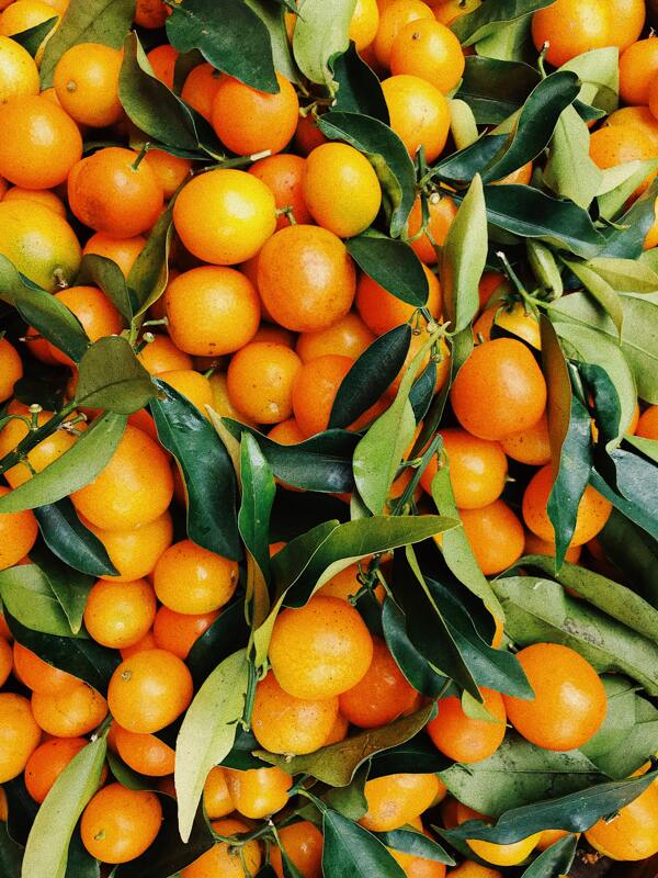 橘子黄色水果维C橘树