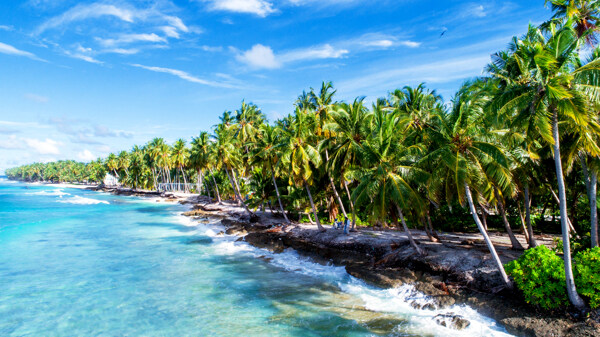热带海边椰子树蓝天白云海边