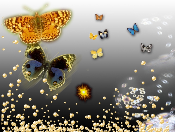 蝴蝶星光泡泡素材图片