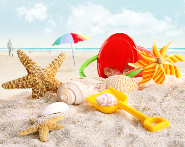 沙滩上的海螺贝壳海星图片