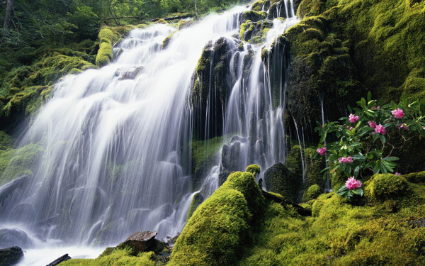 山清水秀