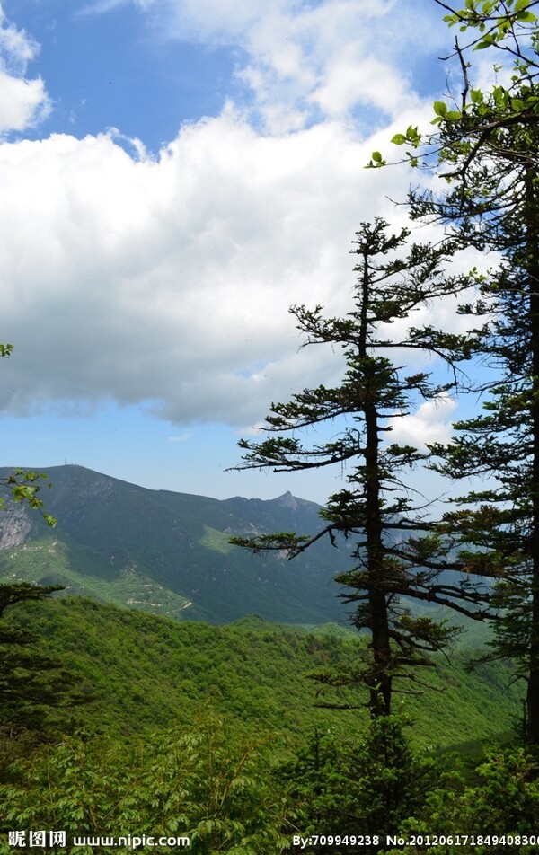 沣峪分水岭图片