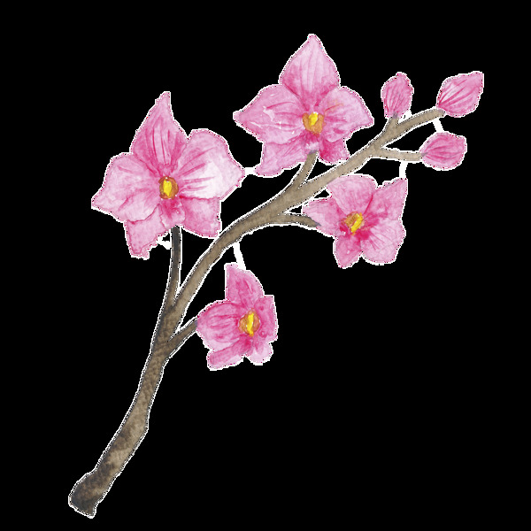 粉色花朵时尚巴黎卡通透明素材