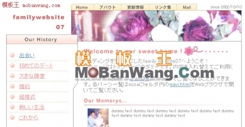 日本家庭写实网站模板