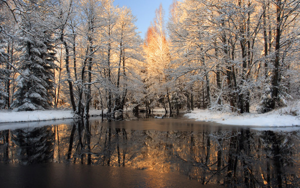 白雪冬林湖水图片