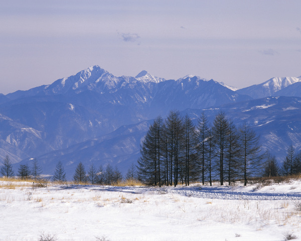 白雪风光