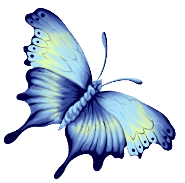 彩绘蓝色蝴蝶