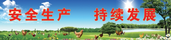养鸡场广告墙标语图片