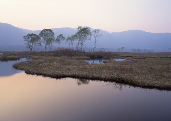 风景