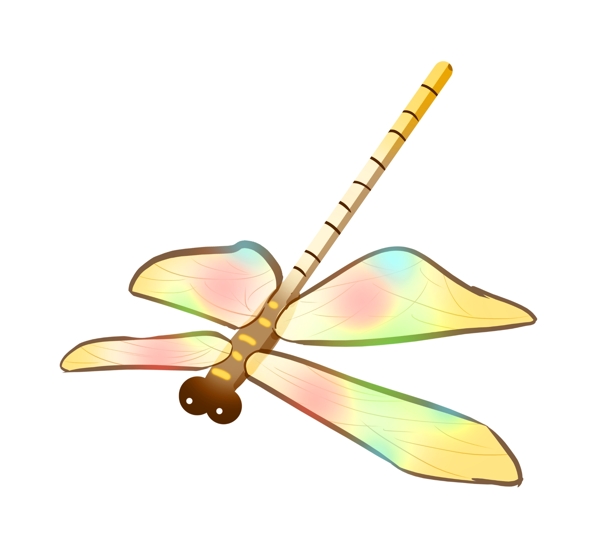 彩色蜻蜓昆虫