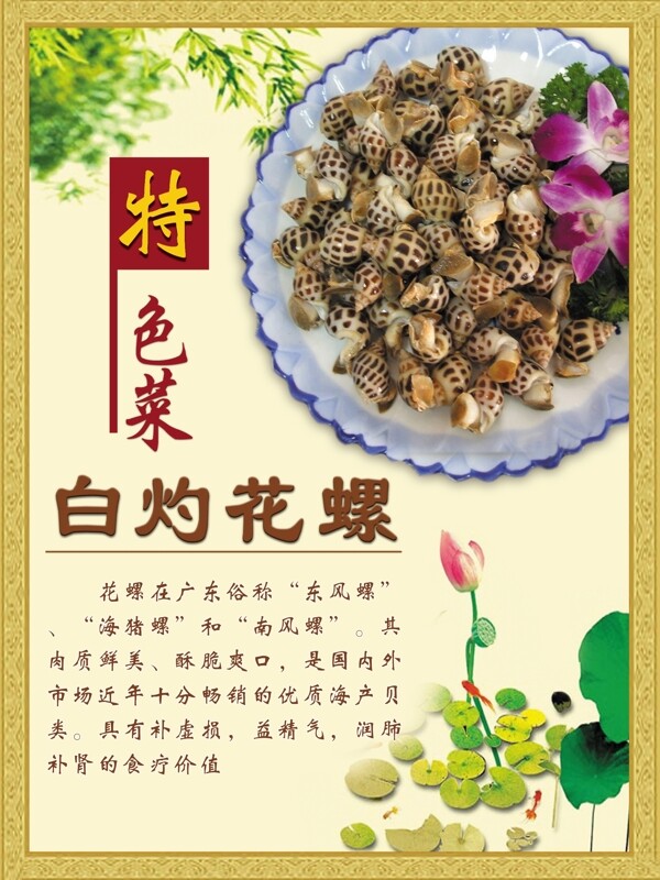 白灼花螺图片