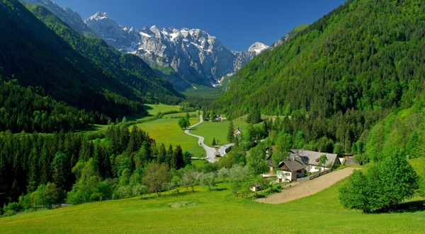绿色的景观山庄图片