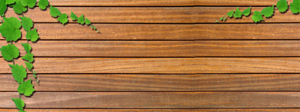 绿叶绿色藤蔓木板背景
