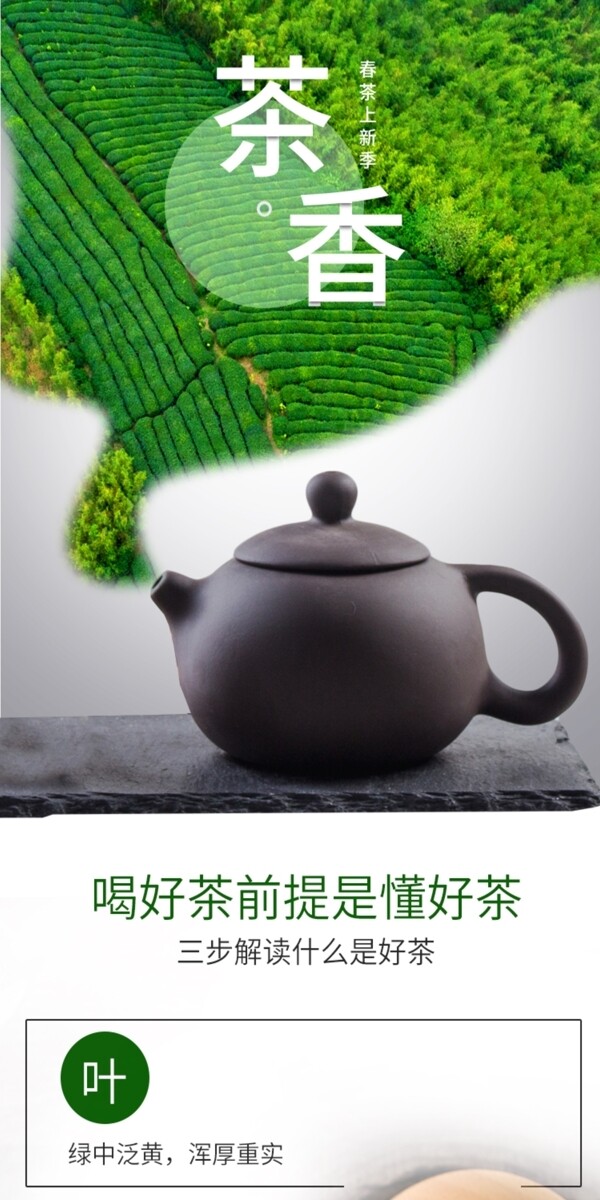 绿色中国风典雅时尚高端大气详情模板健康