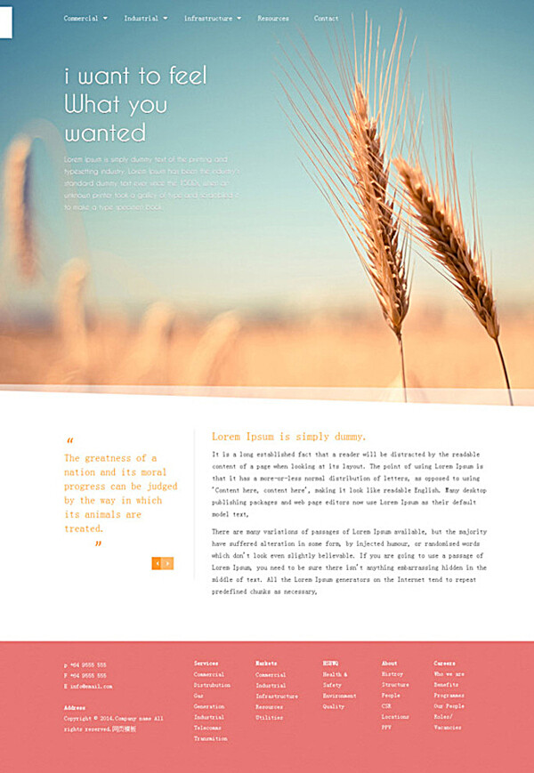 有机小麦农业网站模板图片