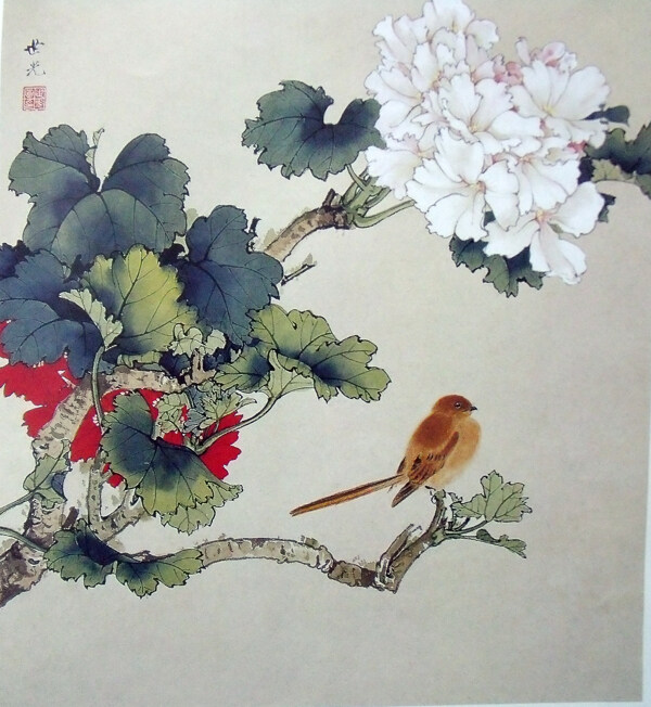 麻雀花卉国画图片