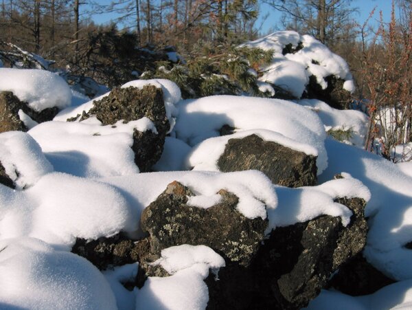 雪景阿尔山的石塘林