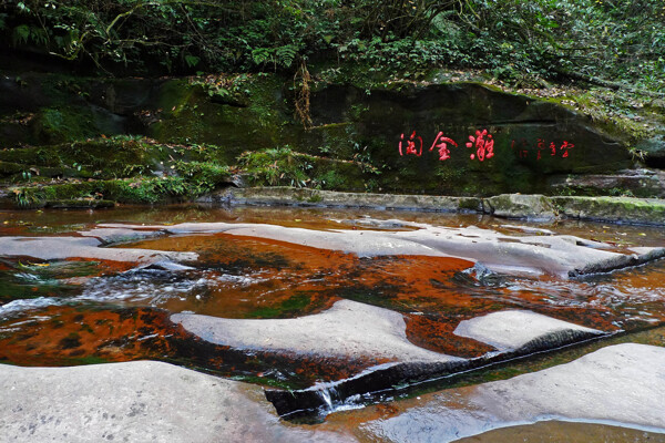 四川碧峰峡风景