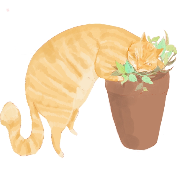 动植物卡通手绘风花草橘猫