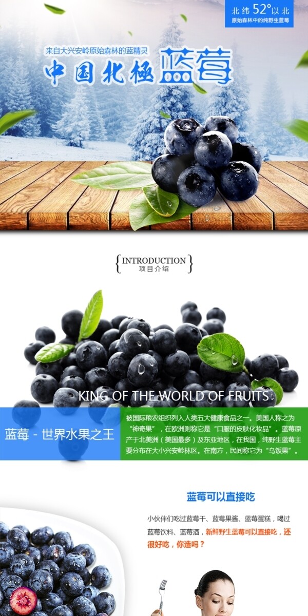 蓝莓众筹网页素材