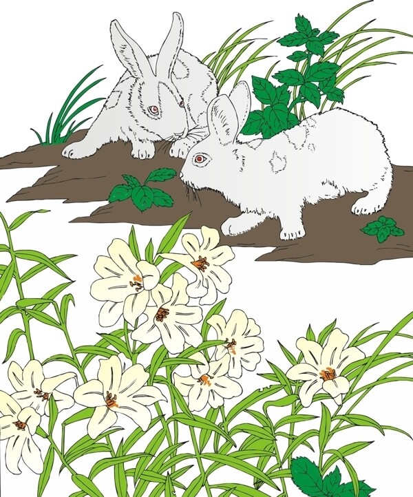 兔子花草