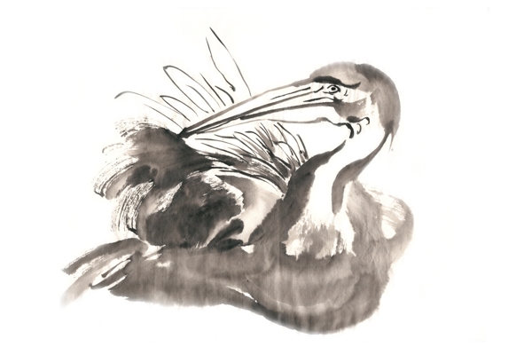 啄羽的鸟水墨画PNG免抠素材