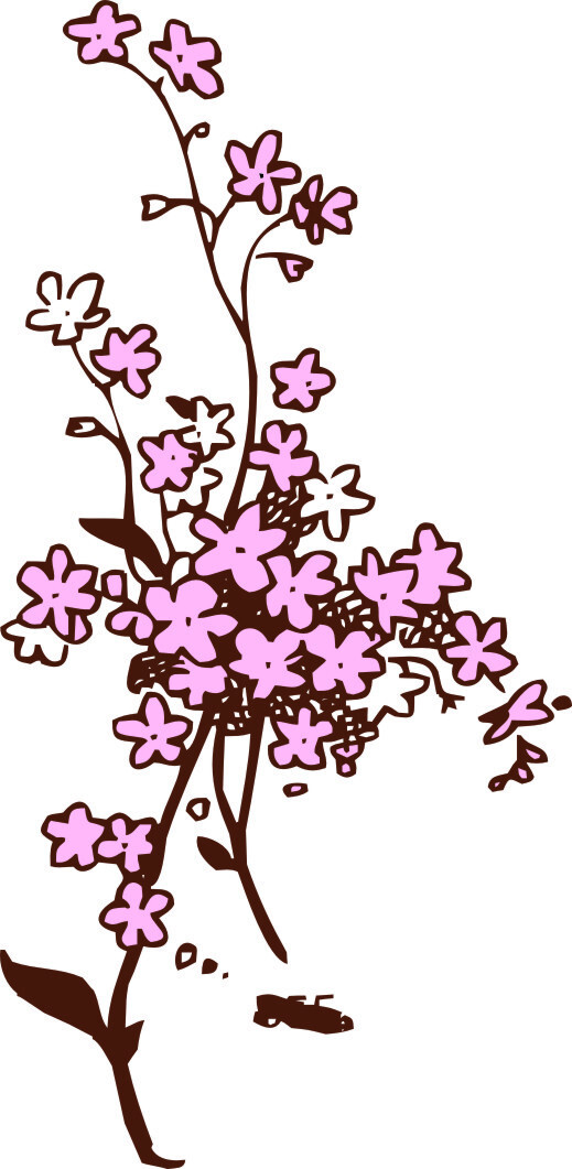 粉紫色蔓藤花朵矢量