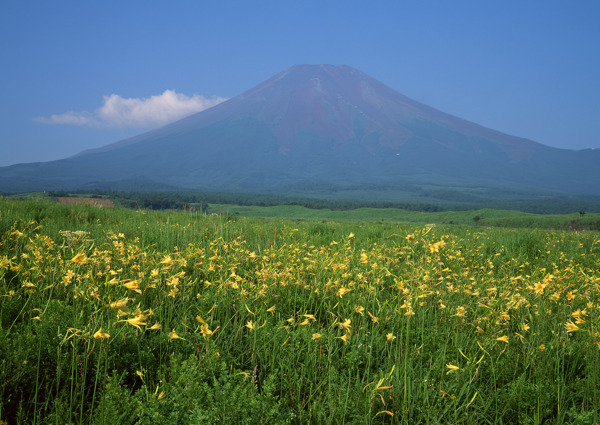 富士山图片