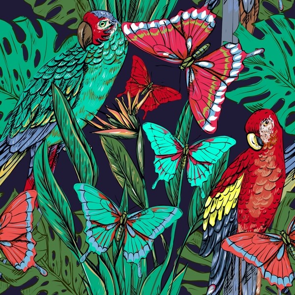 唯美彩色手绘鹦鹉和蝴蝶插画